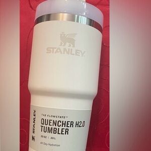Stanley Quencher H2.0 Tumbler 14oz - Frost❄️💧
